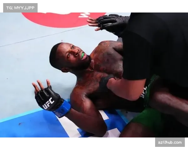 邦菲完美战术执行 低扫削弱接飞膝终结经验丰富布朗